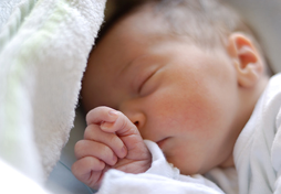 cheque cadeau naissance