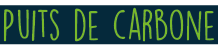 puits de carbone