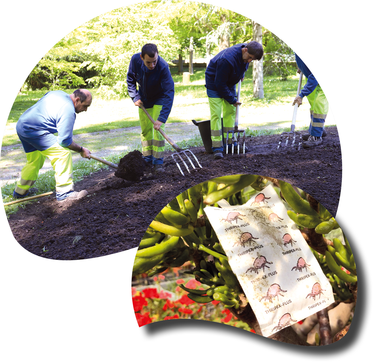 protection environnement 2