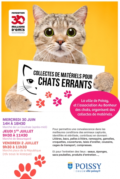 Collecte_chats_errants